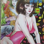 การ์ตูนไทยเล่มละบาท ปก5บาท เรื่อง ลูกตาผี / อลงกต