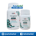 ผักเม็ด โฉมใหม่ Globalone Wheatgrass & Alfalfa Extract Plus ราคาถูก ฟรีของแถมทุกรายการ ผักเม็ด นิวไลฟ์