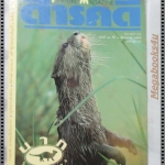 นิตยสารสารคดี ฉบับที่092 ตุลาคม 2535 ปีที่8 นากสัตว์โลกแสนซน,ทางลอยฟ้า,ทุ่งดอกกระเจียว,ความหลังของโดม สุขวงศ์,