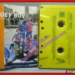 เทปเพลงไทยสากล โจอี้ บอย อัลบั้ม FUN FUN FUN