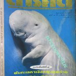 นิตยสารสารคดี ฉบับที่08 ปี2535 พะยูน พระเครื่อง ขนมจีนภาคใต้