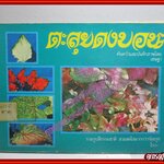 หนังสือ ตะลุยดงบอน โดย เชษฐา (หนังสือจากห้องสมุด มุมหนังสือมีรอยพับ มีตราประทับ แผ่นรองปกหลังมีซองติด สภาพพอใช้ พิจารณาจากรูปเลยครับ))