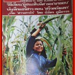 นิตยสารฟ้าเมืองไทย ฉบับ233 ปี2516 ปก สาวชาวไร่ มีงานเขียนของ รงค์ วงษ์สวรรค์