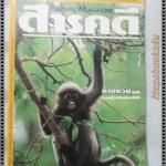 นิตยสารสารคดี ฉบับที่114 สิงหาคม 2537 ค่างแว่นถิ่นใต้,ข่มขืน,หมอยาพื้นบ้าน,ระนอง