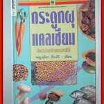 กระดูกผุ-แคลเซียม โดย พญ.ลลิตา ธีระสิริ (มือสอง) (สภาพ85-95%)