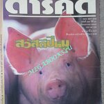 นิตยสารสารคดี ฉบับที่119 มกราคม 2538 หมูชีวิตนี้เพื่อมนุษย์ ชนชาติจ้วง วอชิงตันดีซี ยะลา