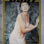 THE BODY PHOTO ALBUM SPECIAL BY OPAL