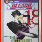 Bleach เทพมรณะ เล่ม18 สนพ.NED (ปก45บาท) (74เล่มจบ)
