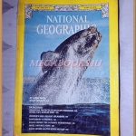 นิตยสาร เนชั่นแนลจีโอกราฟิก,National Geographic, VOL.149,NO.03 MAR.1976