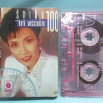 เทปเพลงไทยสากล ไก่ พรรณนิภา อัลบั้ม รักเกิน100