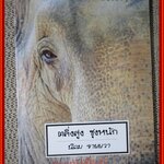 ตลิ่งสูง ซุงหนัก/นิคม รายยวา/รูปรวี