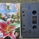 เทปเพลงไทยสากล หยาด นภาลัย ชุด เพลงดังอมตะชุดที่24 จุมพิตนวลปราง