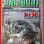 นิตยสาร เย่อกับปลา ฉบับที่006 ปี2541 ปก ชะโด ประดาบก็เลือดเดือด