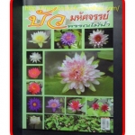 บัว มหัศจรรย์พรรณไม้น้ำ, สภาพดี แข็งแรง สวย