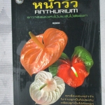 หน้าวัว ANTHURIUM ดาวจรัสแสงแห่งไม่ประดับไม้ตัดดอก โดย พฤกษทล