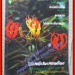 นิตยสารไม้ประดับในประเทศไทย ประจำปี2524 /ไม้ประดับจากป่าเมืองไทย