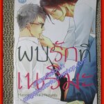 การ์ตูนวาย พบรักที่เนริมะ / CN COMICS