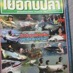 นิตยสาร เย่อกับปลา ฉบับที่122 ปี2551 ปลาหมูสี