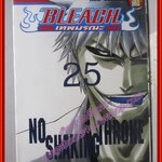 Bleach เทพมรณะ เล่ม25 สนพ.NED (ปก45บาท) (74เล่มจบ)