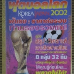 นิตยสาร วิเคราะห์ฟุตบอลโลก 2002