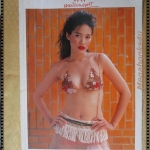 นิตยสารพลอยแกมเพชร ฉบับที่250 ปี2545 ปก พลอย เฌอมาลย์