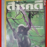 นิตยสารสารคดี ฉบับที่114 สิงหาคม 2537 ค่างแว่นถิ่นใต้ ข่มขืน หมอยาพื้นบ้าน ระนอง