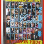 นิตยสารเอนเตอร์เทน Entertain ฉบับ EXTRA 2008 A YEAR IN VIEW