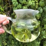 ใบเปปอร์มิ้นแท้ เย็นชื่นใจ