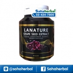 Lanature Grape Seed Extract สารสกัดจากเมล็ดองุ่น ราคาถูก ฟรีของแถมทุกรายการ