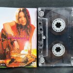 เทปเพลงไทยสากล ปาล์มมี่ อัลบั้ม PALMY