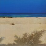 Used CD,Paul Brown & Friends(Boney James,David Benoit,Al Jarreau)- White Sand (A)(Guitar)(Jazz)(instrumental)2007(USA)