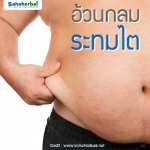อ้วนกลม ระทมไต