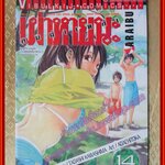 การ์ตูนบ้าน คนผ่าเหล่าเผ่าหายนะ เล่ม14 ปก45บาท สนพ.วิบูลย์กิจ (ครบชุด21เล่มจบ)