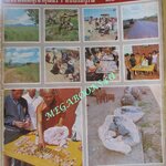 นิตยสารฟ้าเมืองไทย ฉบับ189 ปี2515 ขุมทรัพย์ที่ชัยบาดาล