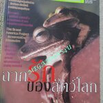 นิตยสารสารคดี ฉบับที่217 ปี2546 ,เซ็กซ์ของสัตว์,ผู้หญิงอิหร่าน,พระราชวังบางปะอิน, สัมภาษณ์ อภิสิทธิ์ เวชชาชีวะ