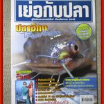 นิตยสาร เย่อกับปลา ฉบับที่091 ปี2548 ปก ปลาอีกง ได้ยินแค่ชื่อก็งง