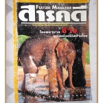 นิตยสารสารคดี ฉบับที่171 ปีที่15 พ.ค.2542,โรงพยาบาลช้าง,หมอชนบท,เรือสำราญ,มะละกา,สภาพพอใช้ ปกถลอก