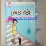 เพราะรักเหตุผลง่ายๆที่ทำให้ตัดใจไม่ลงเล่มเดียวจบ ณิชาเขียน สนพ.ใยไหมปก129บาทสภาพดี