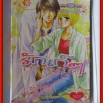 การ์ตูนบ้าน รักเก๊ๆ เทใจให้เลย เล่มเดียวจบ สนพ.หมึกจีน