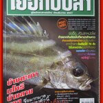 นิตยสาร เย่อกับปลา ฉบับที่083 ปี2547 ปก ข้างตะเภา มโหรี ข้างลาย