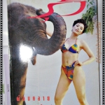 นิตยสารรุ้ง ฉบับที่062 ปี2537 ปก เพ็ชรรัตน์ ศรีแก้ว