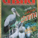 นิตยสารสารคดี ฉบับที่074 เมษายน 2534 สภาพดี คนชรา นกปากห่าง เขื่อนปากมูล ลพบุรี