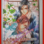 นิยายวาย ปาฏิหาริย์รักจิ้งจอกขาว เรื่อง เฟ่ยอวี่ ภาพ สีสีกั่ว แปล