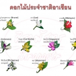 ดอกไม้ประจําชาติอาเซียน 10 ประเทศ