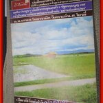 นิตยสารฟ้าเมืองไทย ฉบับ275 ปี2517 ปก ทุ่งนาจังหวัดเชียงราย มีงานเขียนของ รงค์ วงษ์สวรรค์