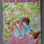 การ์ตูนบ้าน ตำนานสายรุ้ง เล่ม02 สนพ.วิบูลย์กิจ