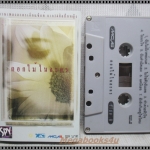 เทปเพลงไทยสากล รวมเพลงละคร อัลบั้ม ดอกไม้ในละคร