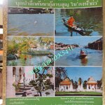 นิตยสารฟ้าเมืองไทย ฉบับ209 ปี2516 ชีวิตตามแม่น้ำลำคลอง (วัดนางชี)