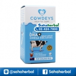 Cowdeys DHA คาวดี้ นมเม็ดบำรุงสมอง ราคาถูก ฟรีของแถมทุกรายการ
