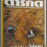 นิตยสารสารคดี ฉบับที่149 ปี2540 ไดโนเสาร์ ลูกตาว กอริลลา อุทยานฯเขาชะเมา